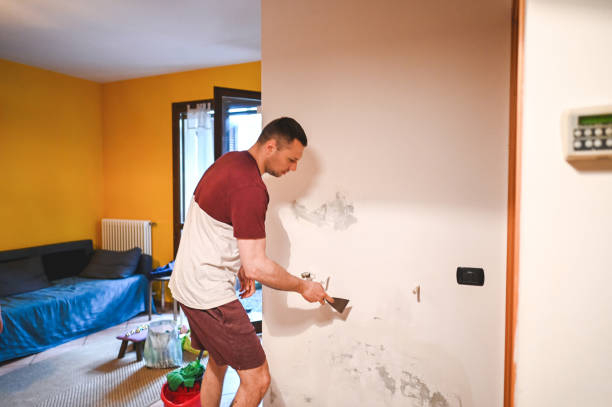 Best Localized Mold Remediation (e.g., coastal areas, humid climates) in Village Green, NY